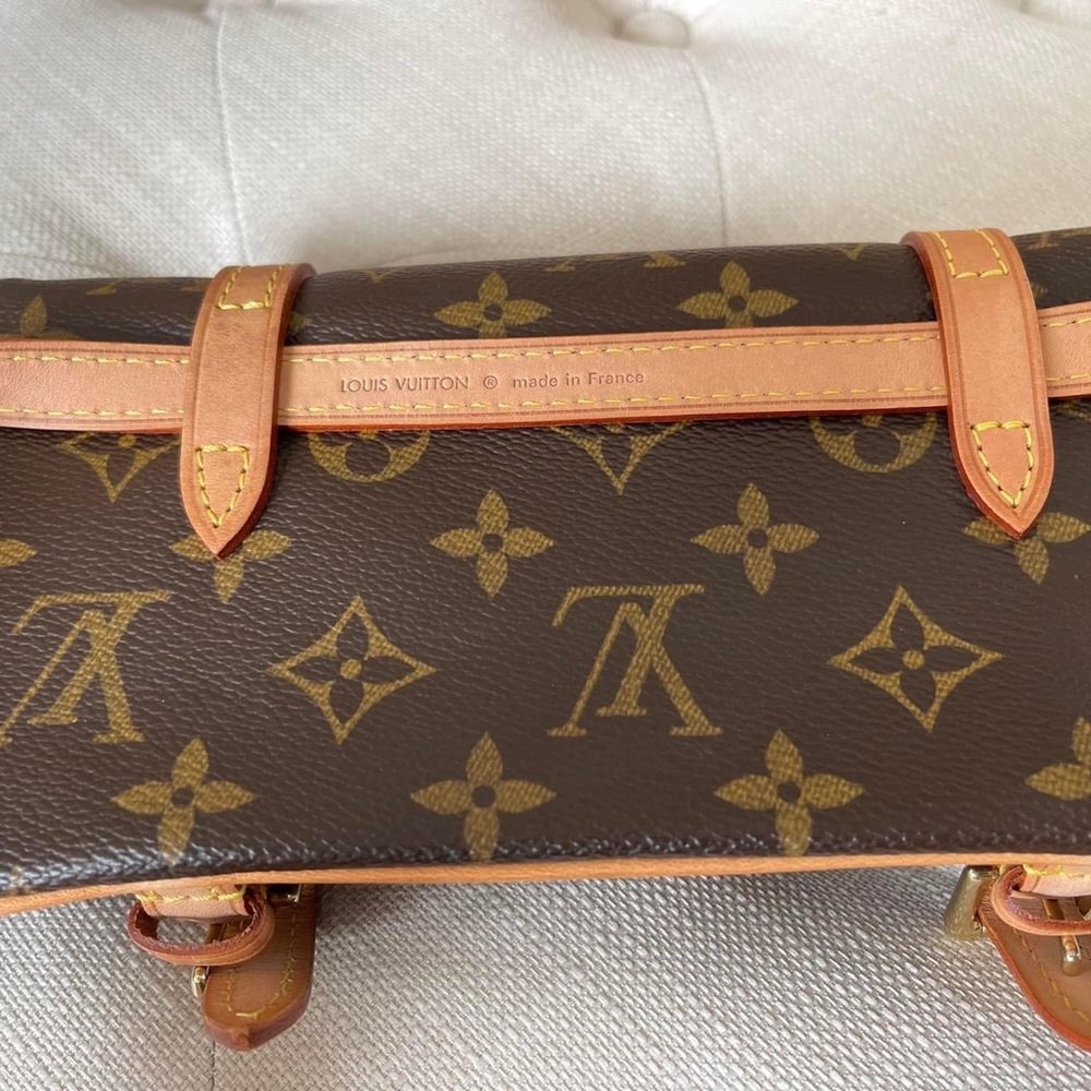 Louis Vuitton Marelle Belt Bag Brown Canvas - Picture 7 of 12